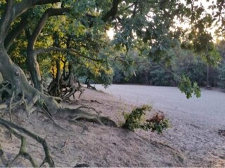 Vakantiepark Uden Omgeving 16