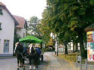 Zum Brocken oder zum Schloss?