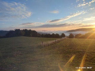 Blick auf den National-Park Eifel