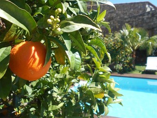 Casa per le vacanze Calenzana Registrazione all'aperto 9