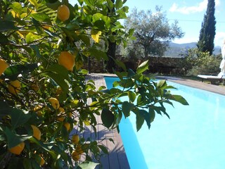 Casa per le vacanze Calenzana Registrazione all'aperto 12