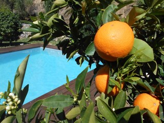 Casa per le vacanze Calenzana Registrazione all'aperto 11