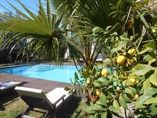 Casa per le vacanze Calenzana Registrazione all'aperto 10