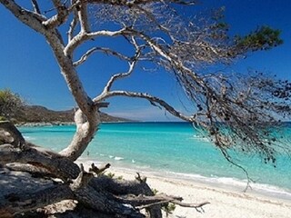 Casa per le vacanze Calenzana Ambiente 32