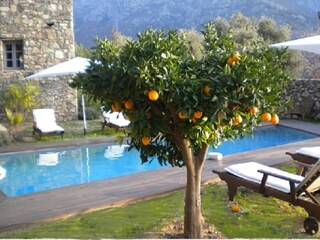 Casa per le vacanze Calenzana Registrazione all'aperto 7