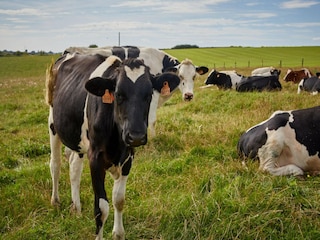 Parc de vacances Neufchâteau Environnement 9