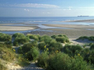 Ferienpark Bray-Dunes Umgebung 24