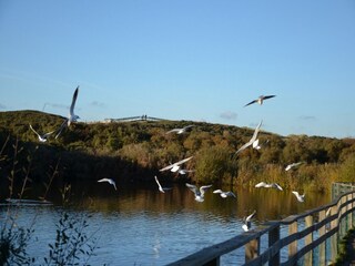 Parc de vacances Oye-Plage Environnement 21