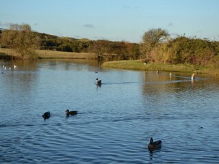 Vakantiepark Oye-Plage Omgeving 13