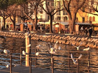 Appartamento per vacanze Torri del Benaco Ambiente 31