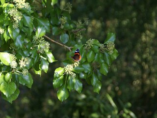 Ferienhaus Saint-Floxel  54