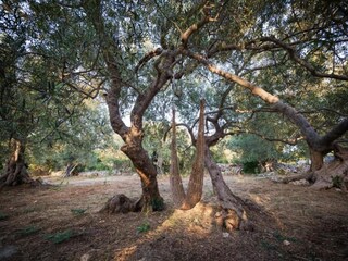 Vakantiehuis Saint-Floxel Omgeving 26