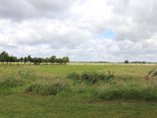 Vakantiepark Ossenzijl Omgeving 20