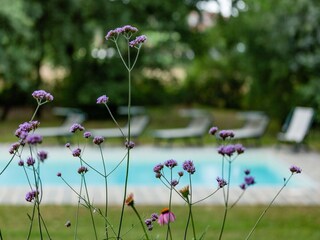Villa Marciano della Chiana Enregistrement extérieur 13