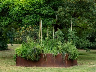 Villa Marciano della Chiana Registrazione all'aperto 13