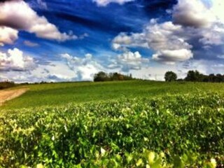 Villa Marciano della Chiana Ambiente 33