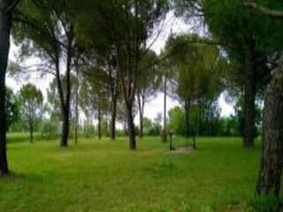 Villa Marciano della Chiana Umgebung 28