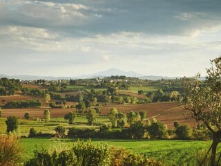 Villa Marciano della Chiana Environnement 26