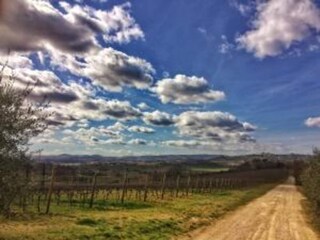 Villa Marciano della Chiana Ambiente 32