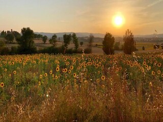Villa Marciano della Chiana Environnement 29