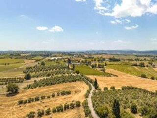 Villa Marciano della Chiana Environnement 24