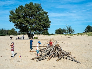 Holiday house Appelscha Environment 21