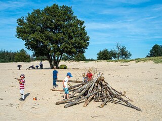 Vakantiehuis Appelscha Omgeving 22