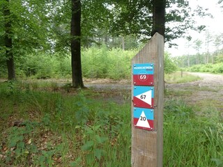 Vakantiehuis Appelscha Omgeving 23