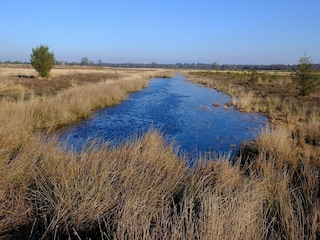 Ferienhaus Appelscha  44