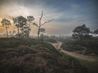 Vakantiehuis Appelscha Omgeving 30