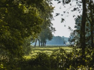 Vakantiehuis Appelscha Omgeving 25