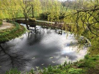 Maison de vacances Appelscha Environnement 35