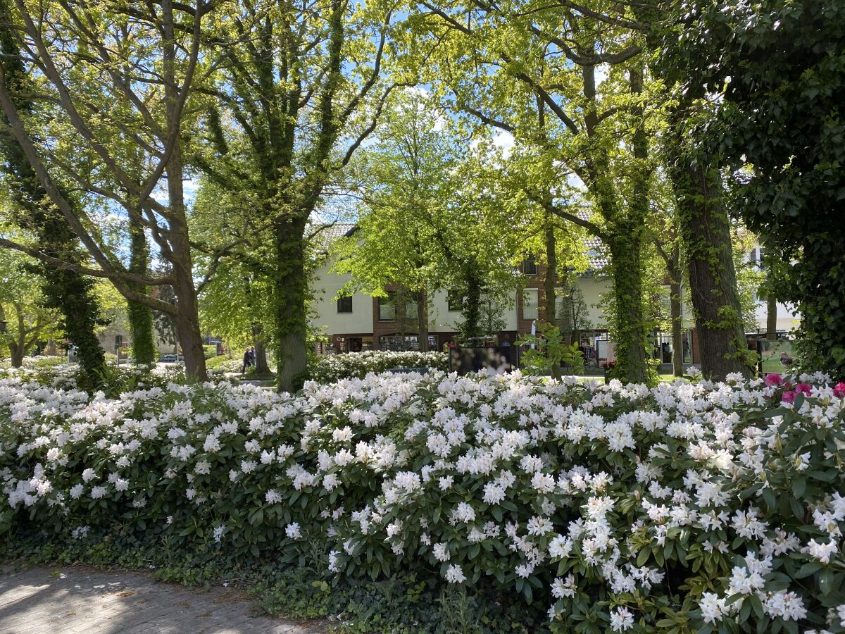 Postplatz im Frühling