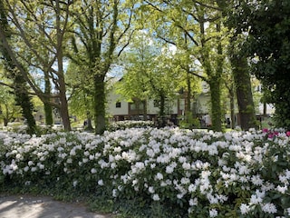 Postplatz im Frühling