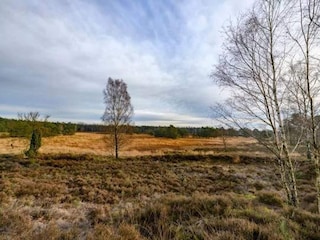 Vakantiepark Epe Omgeving 18