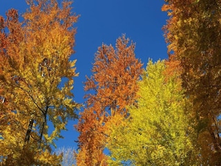 Parc de vacances Epe Environnement 26