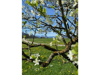 Appartamento per vacanze Reichersbeuern Ambiente 20