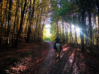 reiten, wandern und radfahren