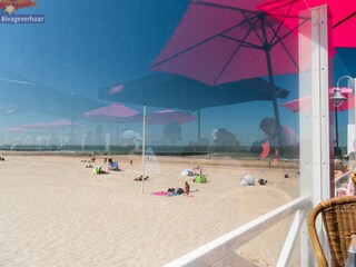 Casa de vacaciones Nieuwvliet Entorno 27