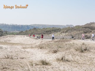 Casa de vacaciones Nieuwvliet Entorno 31