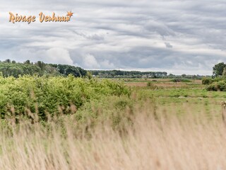 Casa per le vacanze Nieuwvliet Ambiente 33