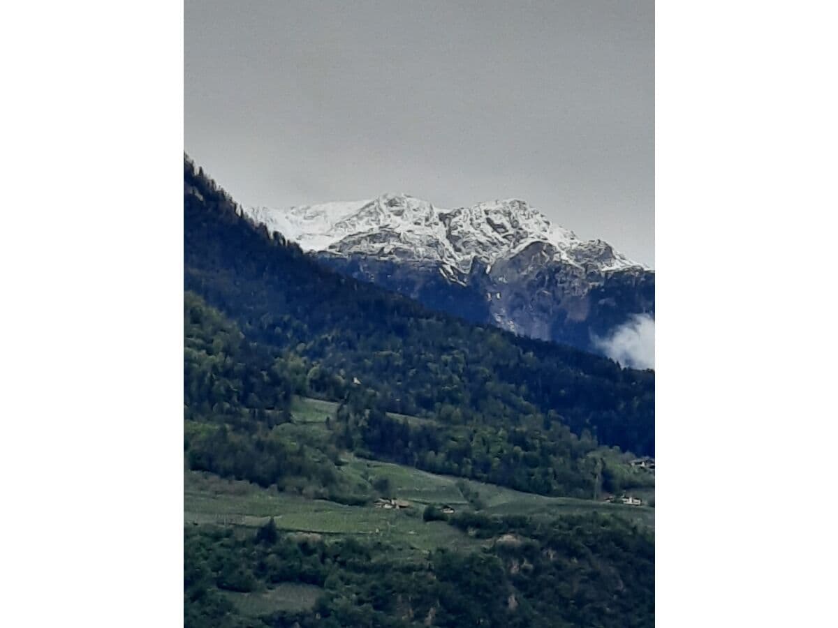 Blick auf die verschneite Laugenspitze