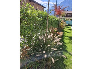 Vakantieappartement Terlan Buitenaudio-opname 7