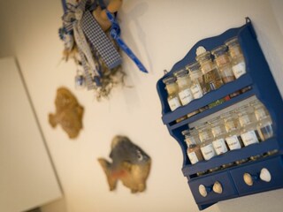 Appartamento per vacanze St. Peter-Ording Registrazione all'aperto 18