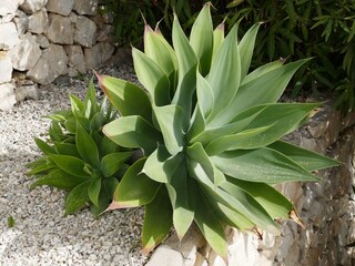 Apartamento de vacaciones Calpe Grabación al aire libre 4