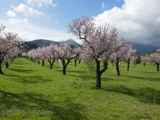 Apartamento de vacaciones Calpe Entorno 28