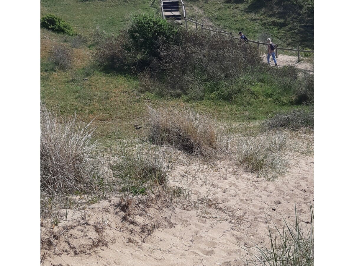 Dunenreservat rund Egmond