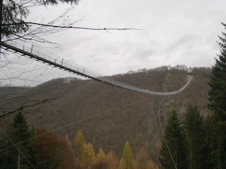 Geierlay-Hängeseilbrücke