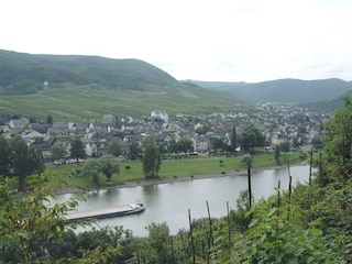 Moselblick auf Bruttig-Fankel