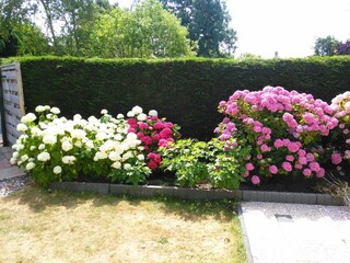 Appartamento per vacanze Ouddorp Registrazione all'aperto 10